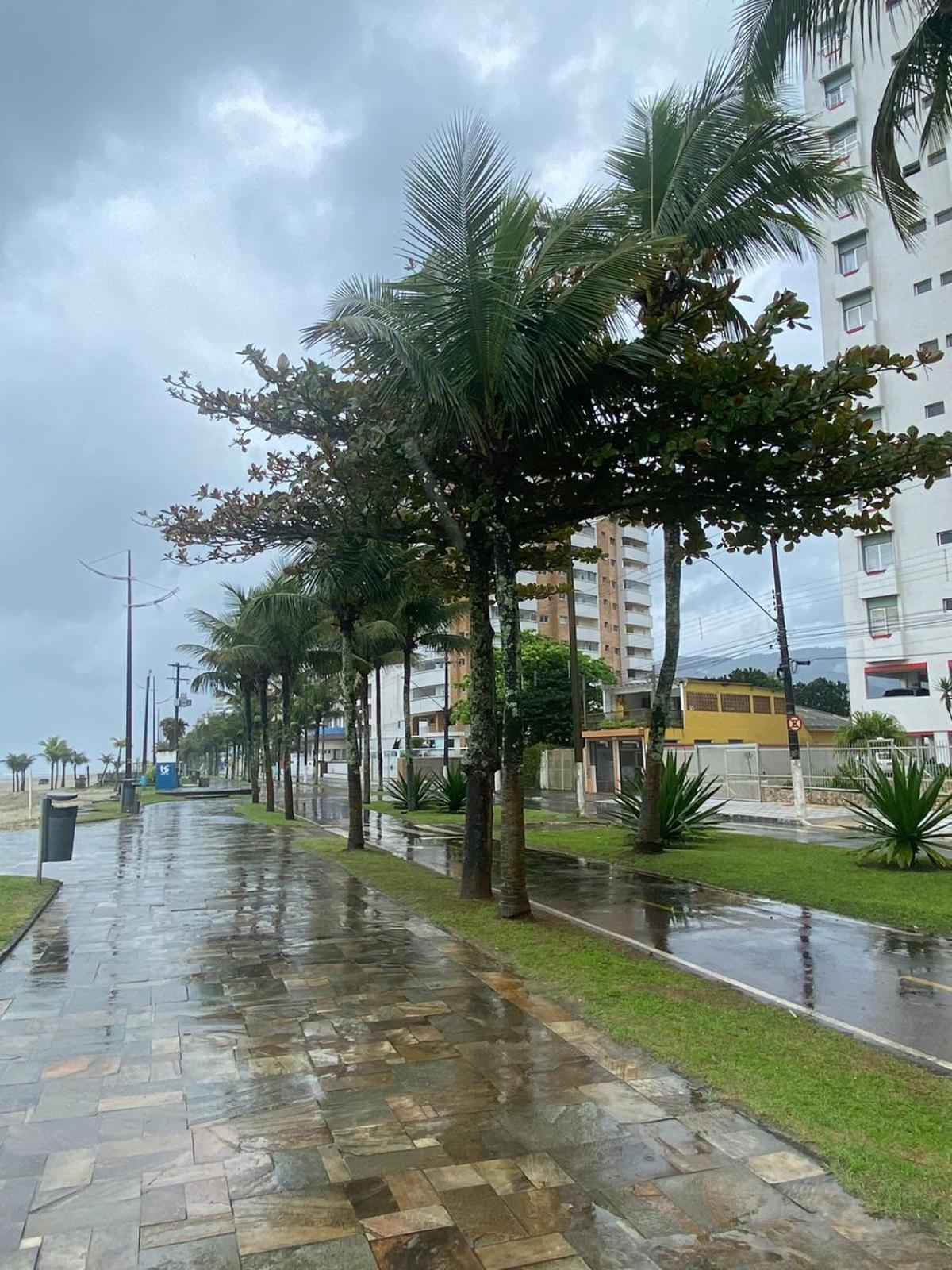 Apartment Marcondes De Castro
